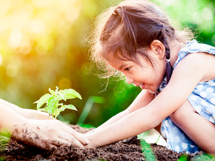 Little girl planting